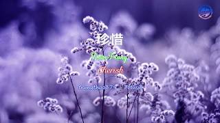 Download lagu 《珍惜》苏有朋 | Trân Trọng - Tô Hữu Bằng | Cherish - Alec Su mp3