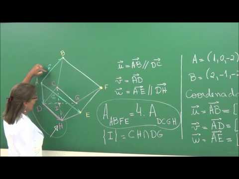 EFB106 - Vetores e Geometria Analítica [Revisão 1 - Exercício - 1º Bimestre]