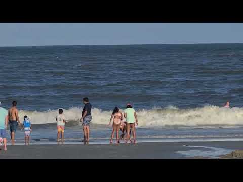 Savannah Beach, Georgia 🇺🇸 July 15tj 2021