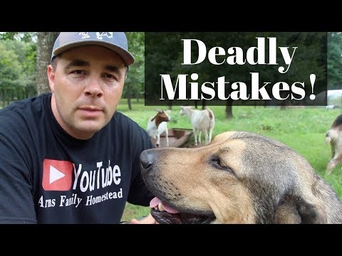 YouTube video about: What to do with used goat bedding?