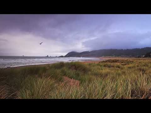 Relaxing 8 Hour Ocean Sounds Oregon Coast | Pacific Northwest Ambience