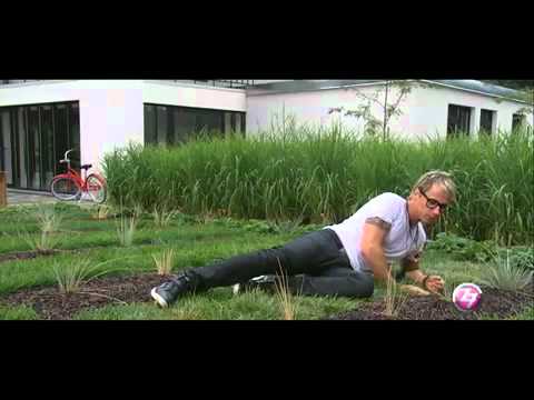 Chris Prolls et l'écologie