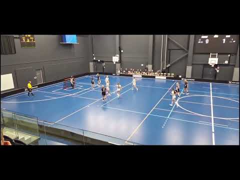 Maalikooste: Pirkat - Eräviikingit 11.1.2025