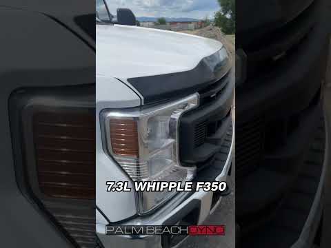 Whipple F350 Work Truck!