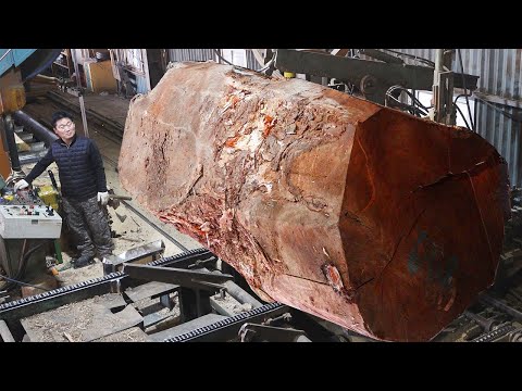 A giant tree turns into a dining table. Korean wood table factory