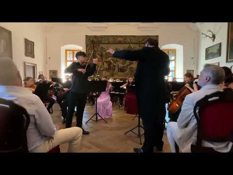 Teo Gertler violin edit