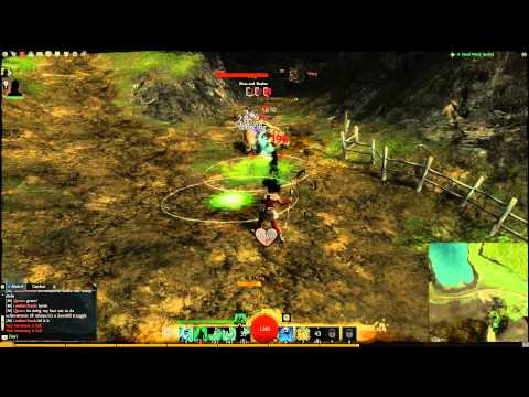 Lv 14 Necro vs. 2 Lv 21s - zero damage taken