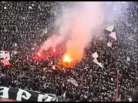 FK PARTIZAN GROBARI JUG -- HAOS NA JUGU😮🔥!!!??? #partizan #grobari #navijaci 