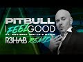 Pitbull Ft. Anthony Watts & DJWS - I Feel Good @R3HAB Remix (Visualizer)