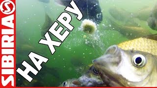 Японская снасть для ловли карася