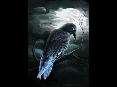 Diko Orzp ft. Drds - Nienawiść