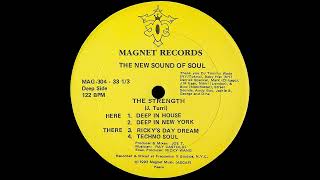 The New Sound Of Soul - Deep In House [MAG-304]