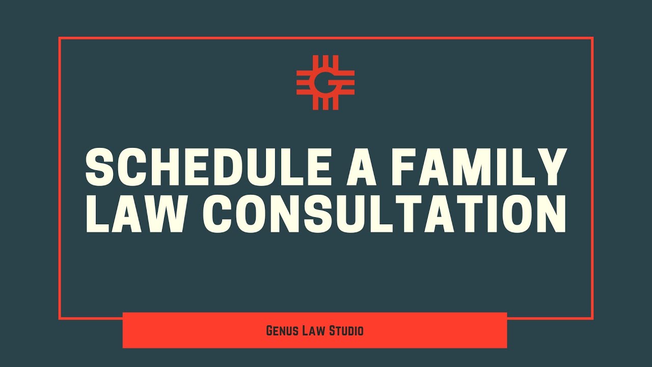 Divorce and Custody Legal Consultation