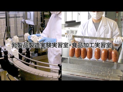 先端経営学科 酪農学園大学　乳製品製造実験実習室・食品加工実習室　｜　施設紹介