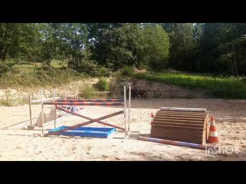 Free cso 1m30 12/08/21