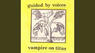 Perhaps Now The Vultures