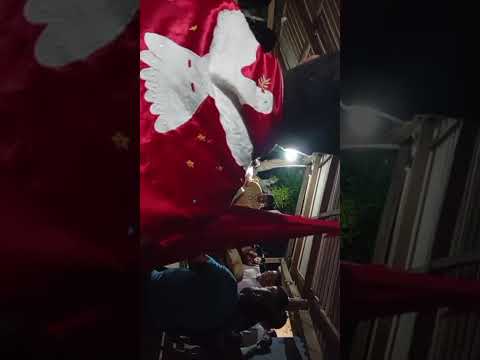 Folia em Monte do Carmo do Tocantins.
