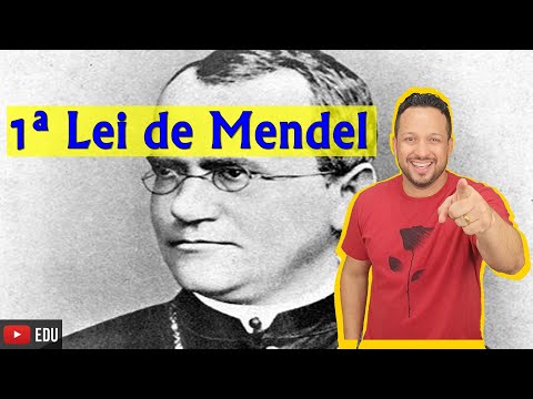 MENDEL'S 1ST LAW - Genetics - Biology with Sharks - Prof. Andrey Freire