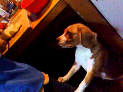 Catalina y sus papas.mp4