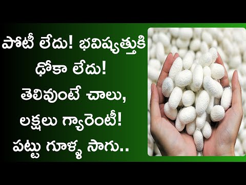 pattu purugu pempakam