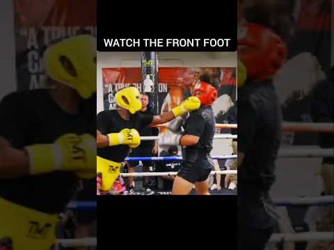 Floyd Mayweathers Crisp Jab