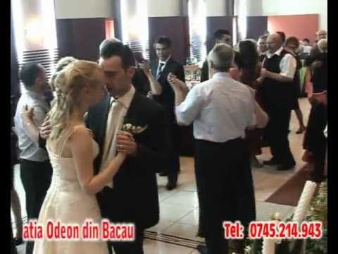 Formatie nunta Bacau, Suceava, Iasi, Focsani Formatia ODEON DIN BACAU - Nunta 01