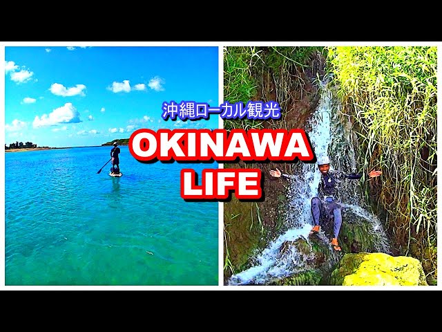 Okinawan sup