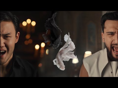 JONY & The Milan - Реки вели | Vk Competition Video