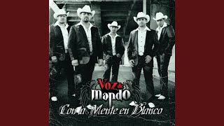 Máximo Nivel Lyrics English Translation