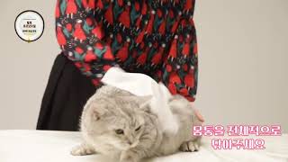 샴푸ㆍ린스ㆍ비누