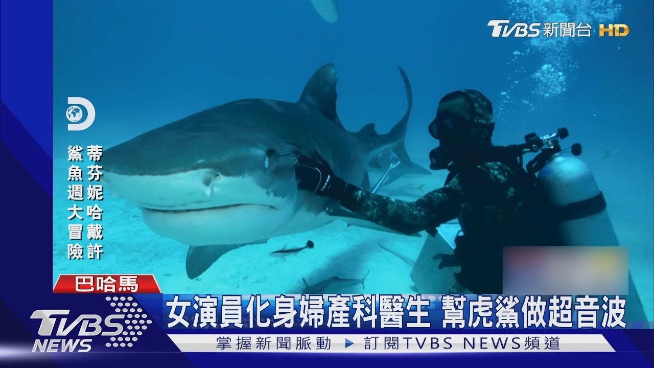 幫虎鯊媽媽做超音波 艾美獎女演員下海大挑戰