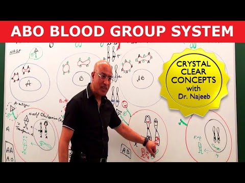 ABO Blood Group System | Blood Types & ABO Antigens👨‍⚕️