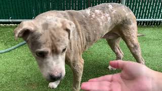 Asia 240319 enjoys time in the yard!