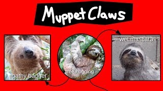 Muppet Claws Explained