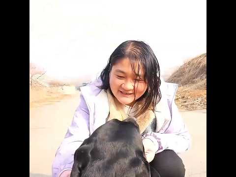 Dog protected her from every danger so she adopted him #shorts