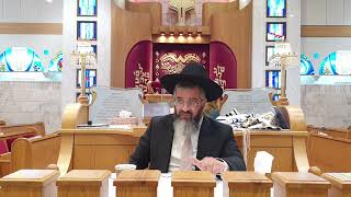 גדרי חמץ בפסח - יסודות  !!! ט"ז אדר ב' התשפ"ד מורשת אבות רעננה