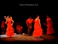 Tauro Flamenco: Zorongo Gitano 