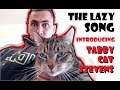 JUST JOKES | The Lazy Song (feat. Tabby Cat Stevens)