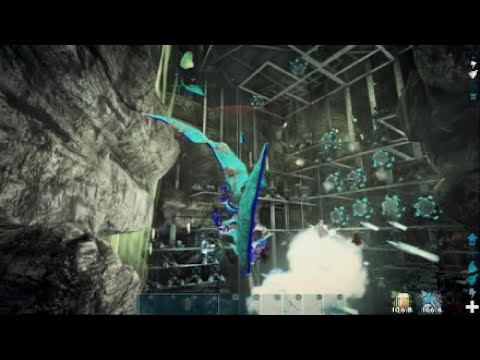 Online wiping trash talking bear cave