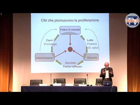 Erbe e funghi il trattamento del cancro alla prostata Prostata e linfociti nel sangue