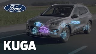 Nuevo Ford Kuga EcoBlue Hybrid (híbrido ligero) Trailer