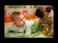 Video Bayi Lucu Ngakak Ekspresi Muka Kaget Cute Takut Bikin Gemas