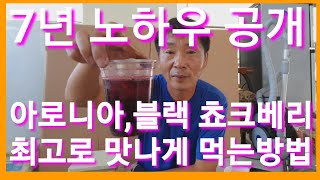 아로니아 최고로 맛있게 먹는 방법 쥬스 아로니아즙 아로니아먹는법 아로니아효능
