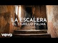 El Tigrillo Palma - La Escalera (Visualizer)