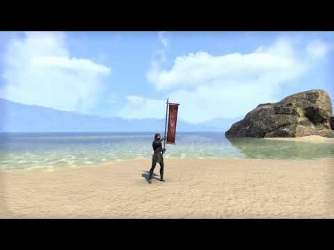 ESO Fashion - Ebonheart Pact Banner