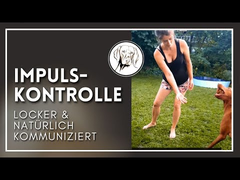 Impulskontrolle & Apportieren mit feiner Kommunikation