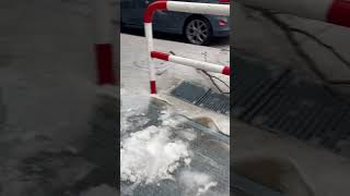 Download lagu Snow in Madrid March 2 2024 #satisfying #cold #shortsviral mp3 Download lagu Snow in Madrid March 2 2024 #satisfying #cold #shortsviral mp3