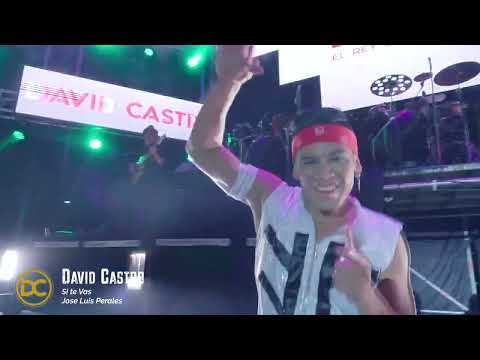 David Castro - Si te vas (En Vivo)