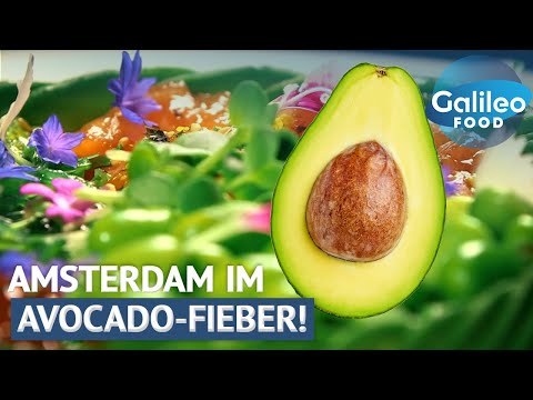 Grüner Wahnsinn: Das Avocado Restaurant, das Amsterdam verrückt macht! | Galileo Food