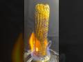 Easy Spicy Roasted Corn Shorts